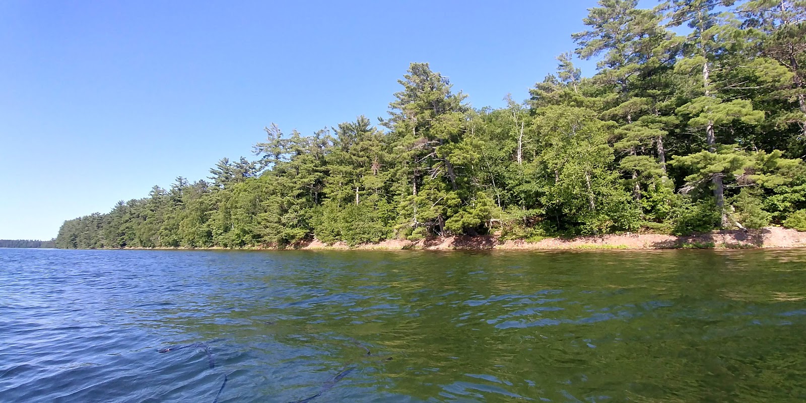 South Trout Lake - Northern Highland-American Legion SF