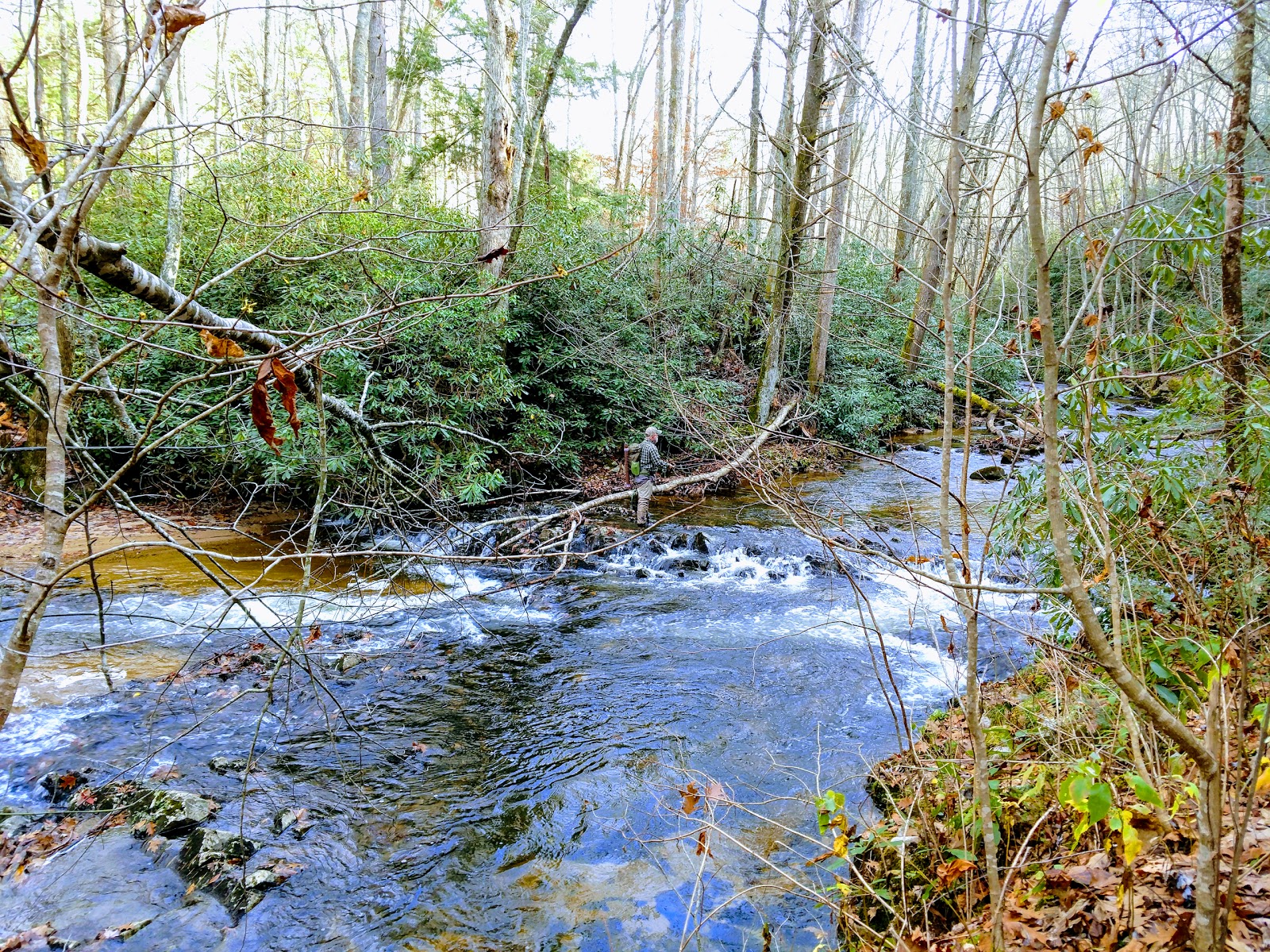 Dennis Cove Recreation Area