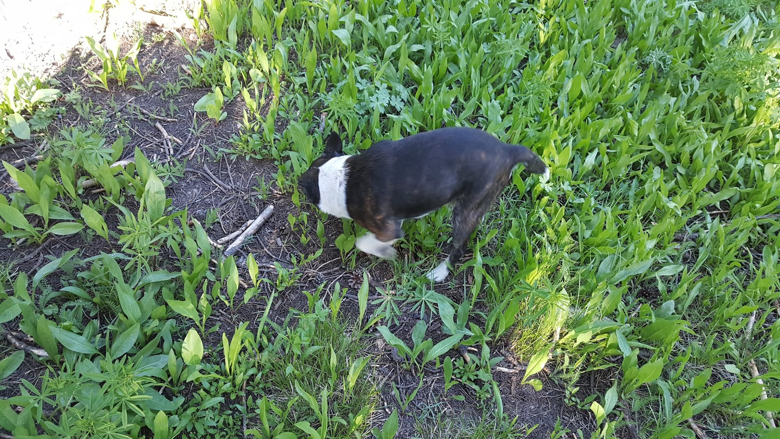 Father and Sons Campground