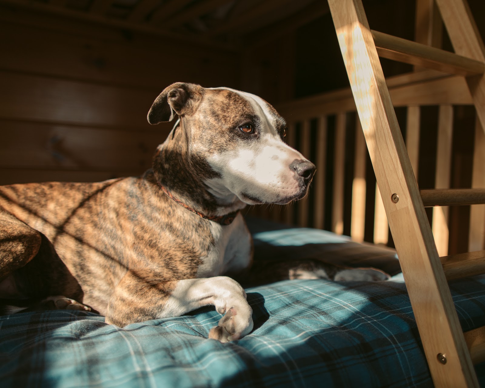 North Country Rivers Kennebec White Water Rafting