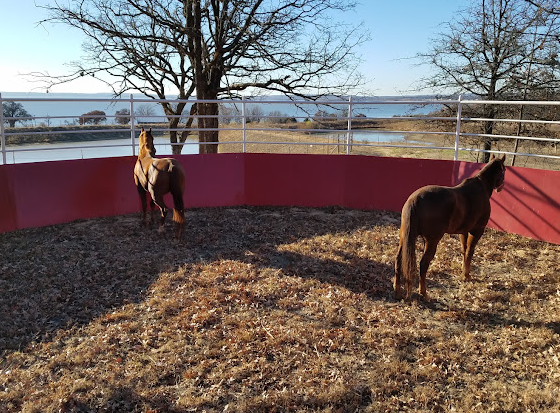Little Turtle RV & Storage