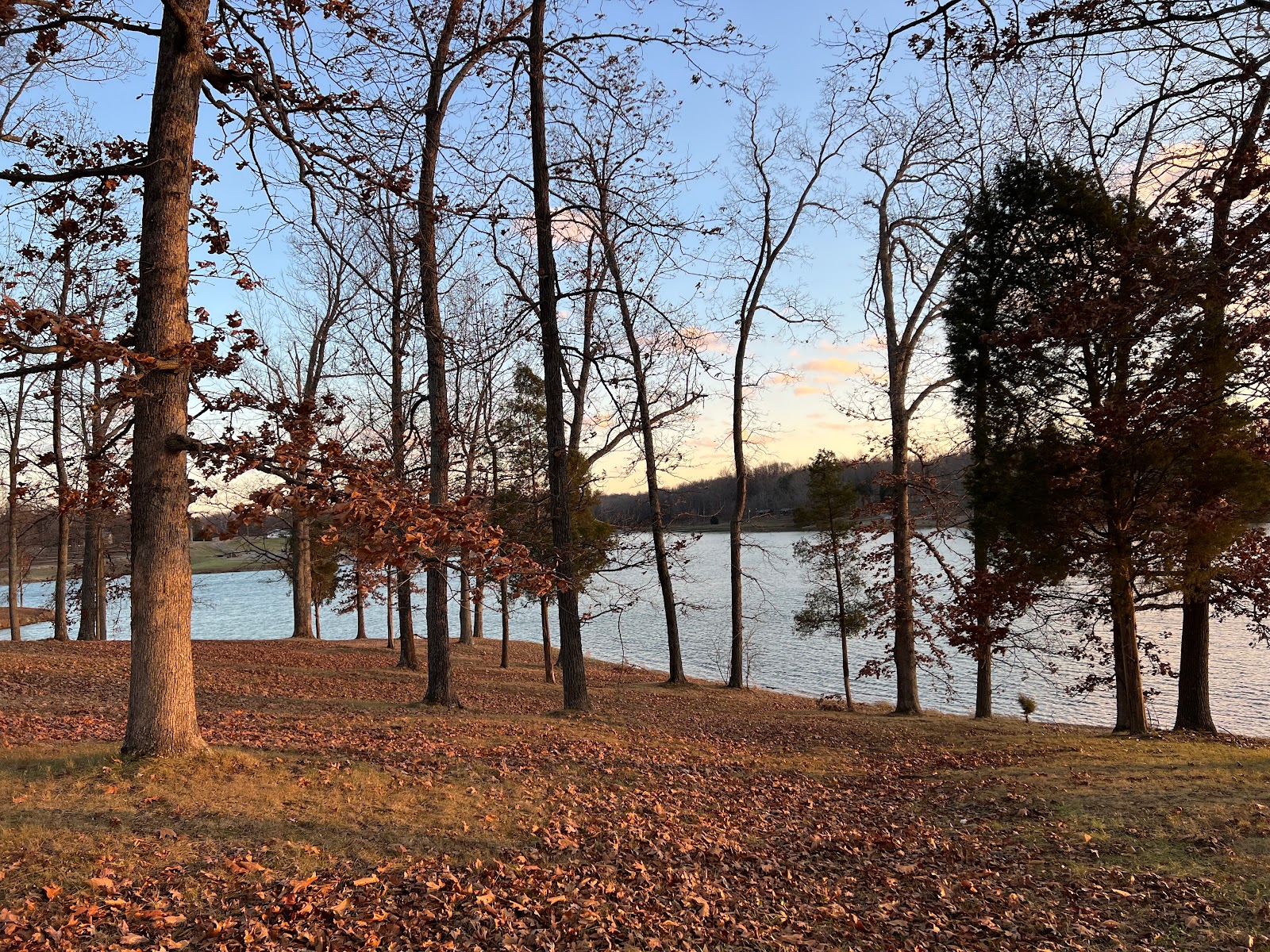 Moffitt Lake Recreation Area
