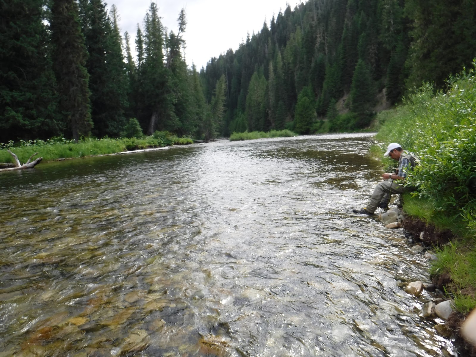 Kelly Forks Campground