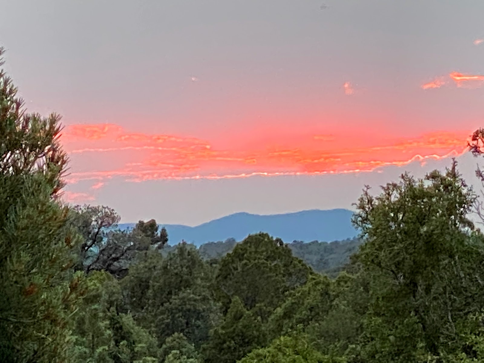 Ward Mountain Campground