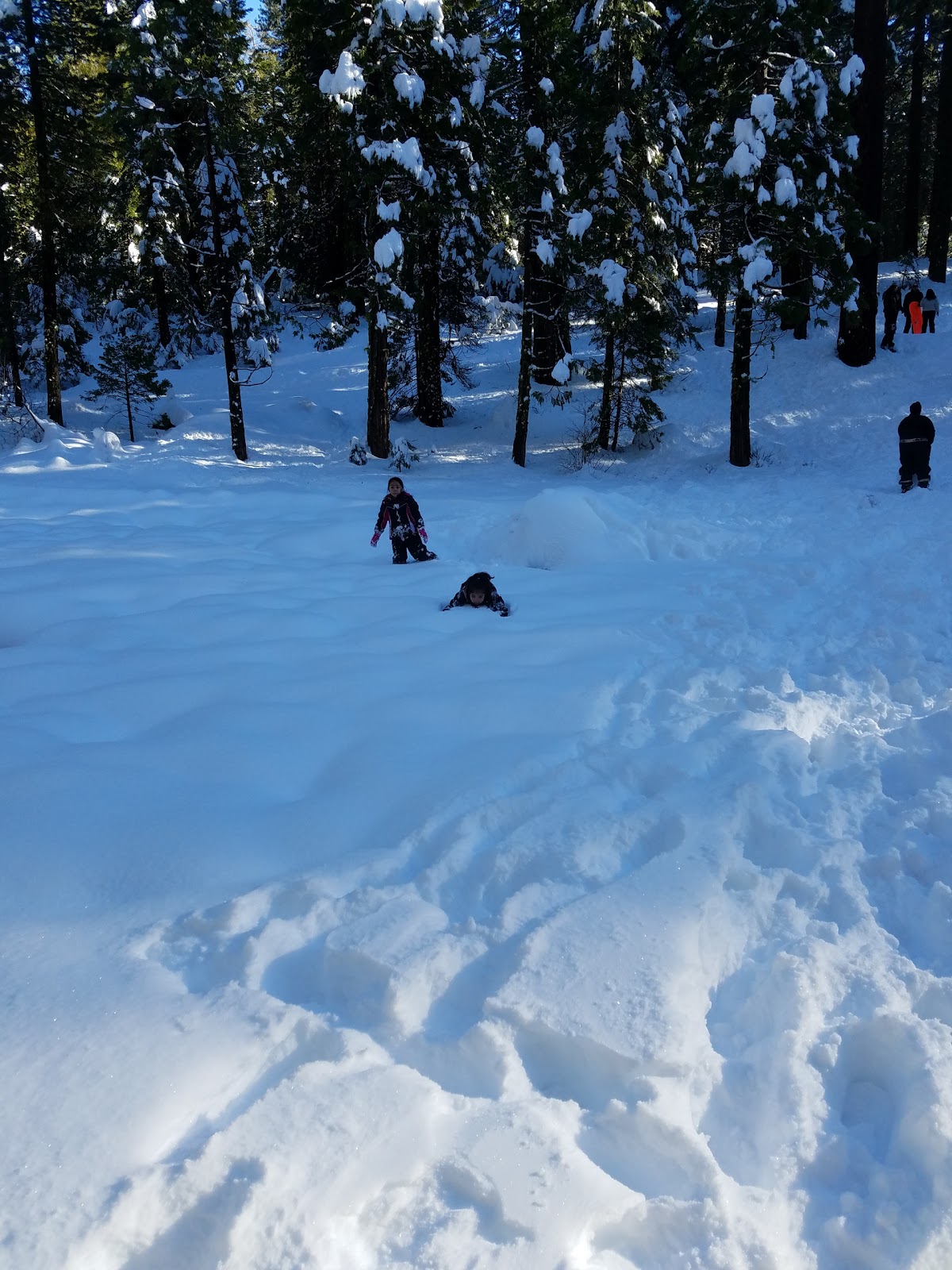 Meadow View Campground