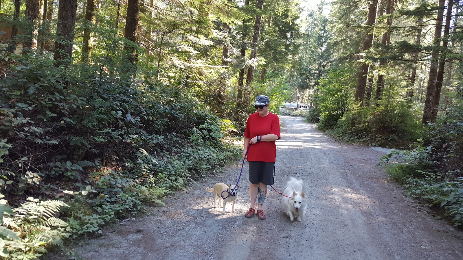 Gold Bar Nature Trails