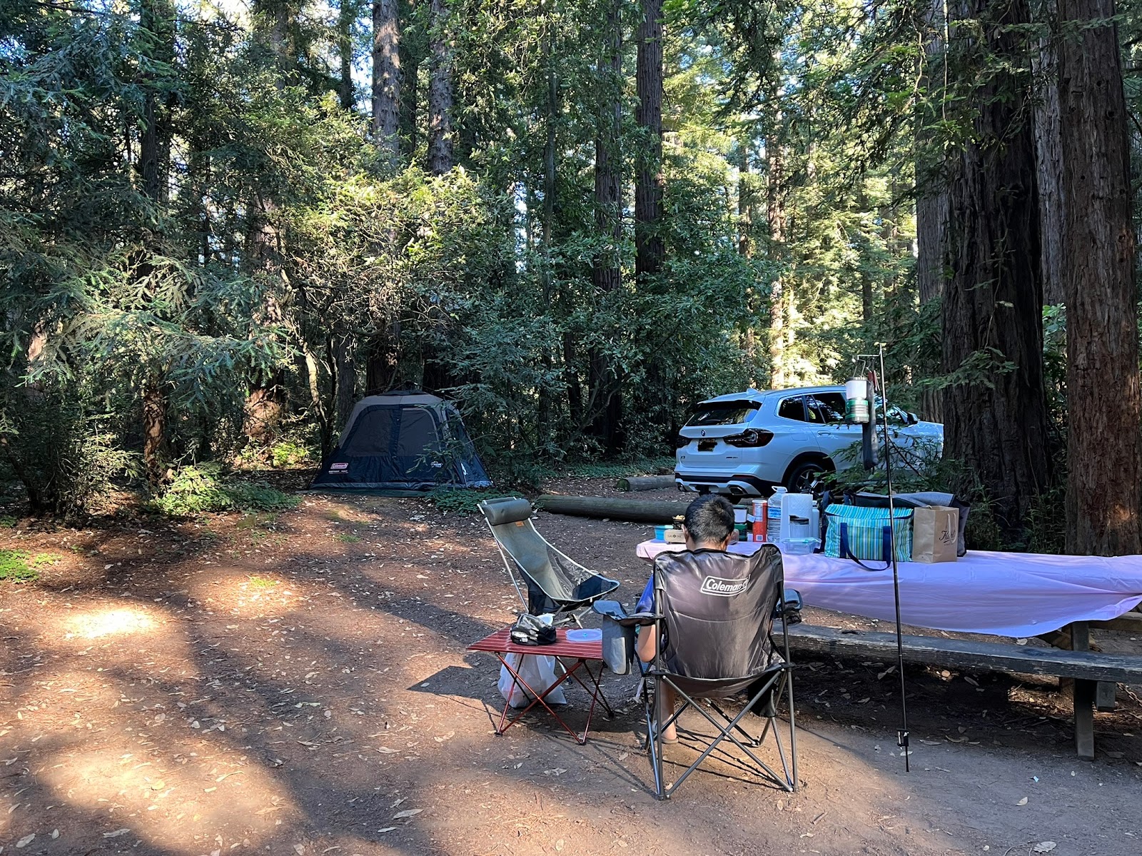 Tan Oak Campground, Mt Madonna County Park
