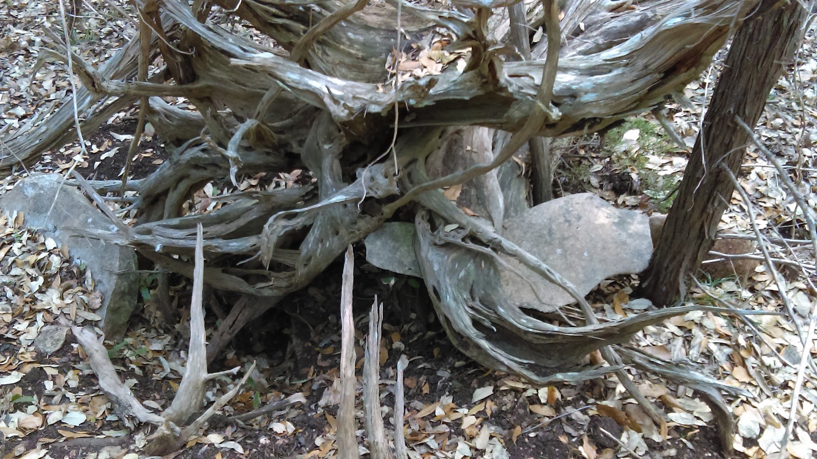 CANYON LAKE CMPGRND/RV PARK