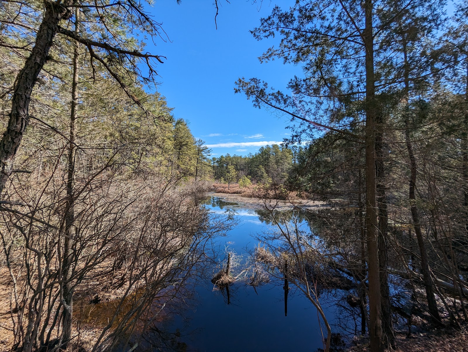Brendan T Byrne State Forest Campground