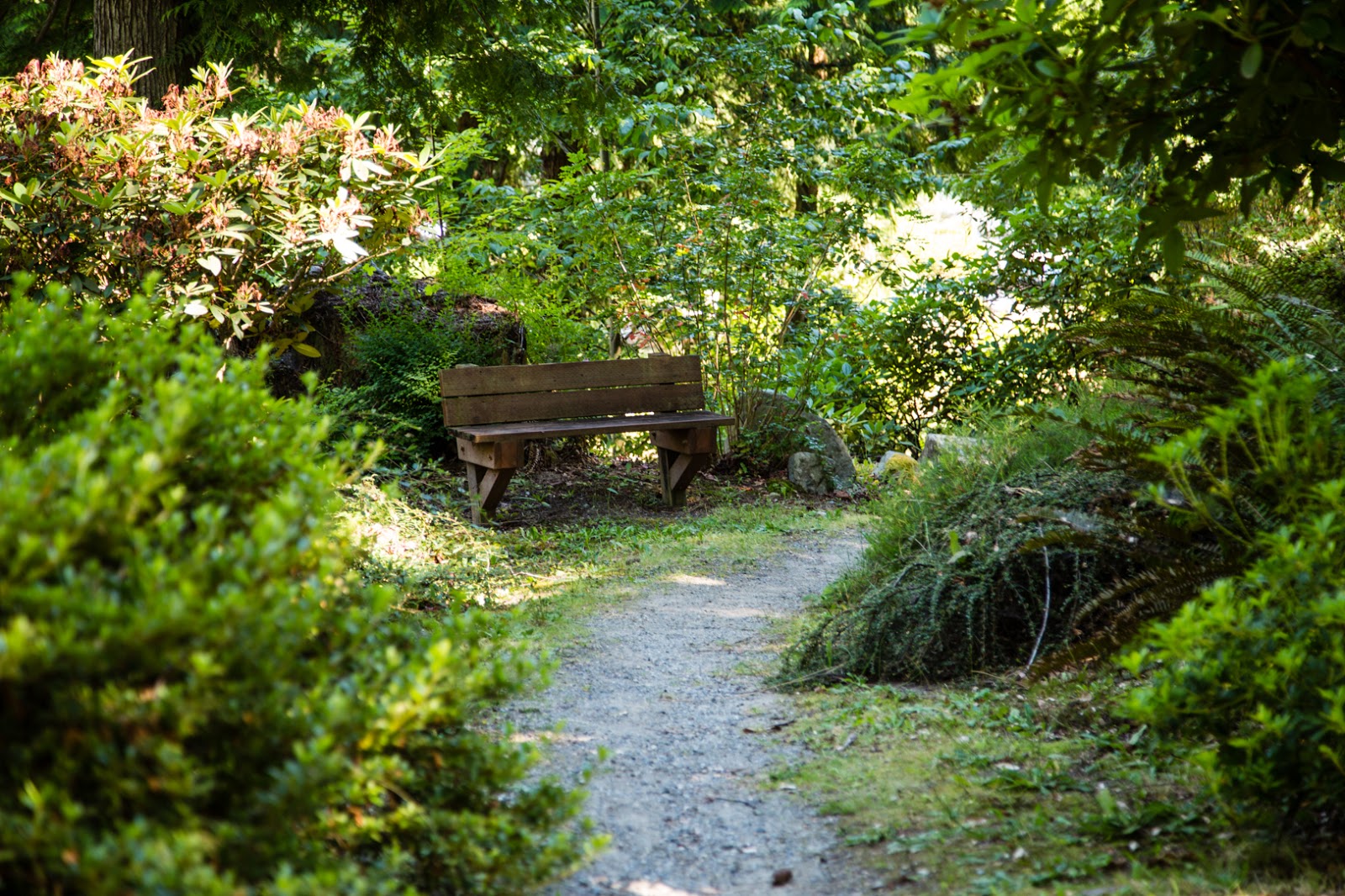 Tall Chief RV & Camping Resort