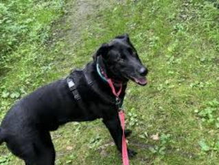 Minnesota Valley State Park