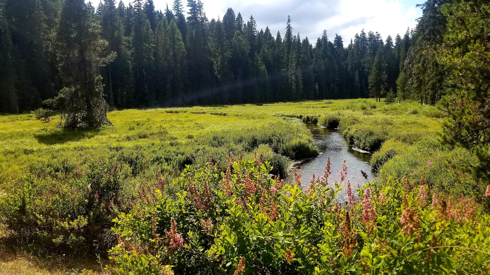 Clackamas Lake Campground