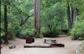 Blooms Creek - Big Basin Redwoods State Park