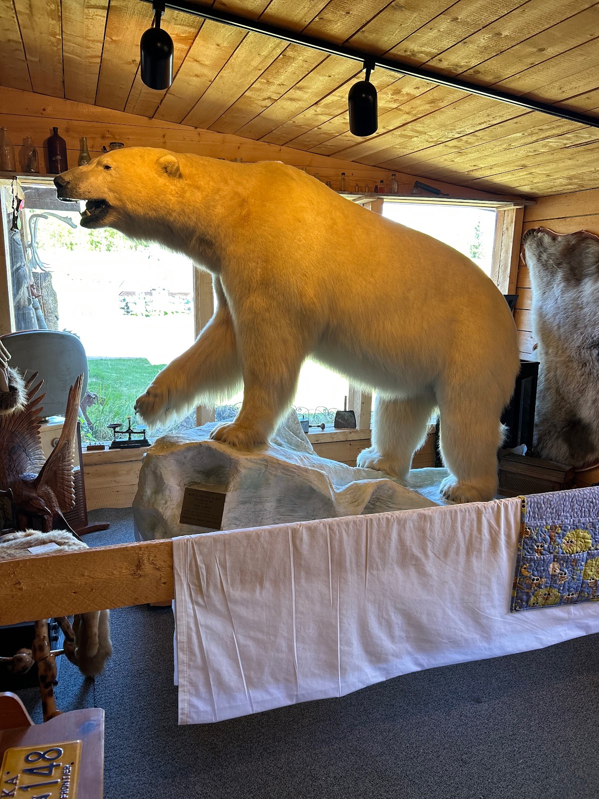 Tatlanika Gift Shop and Campground