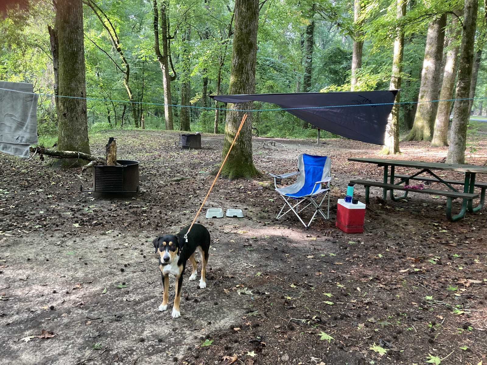 Rocky Springs Campgound