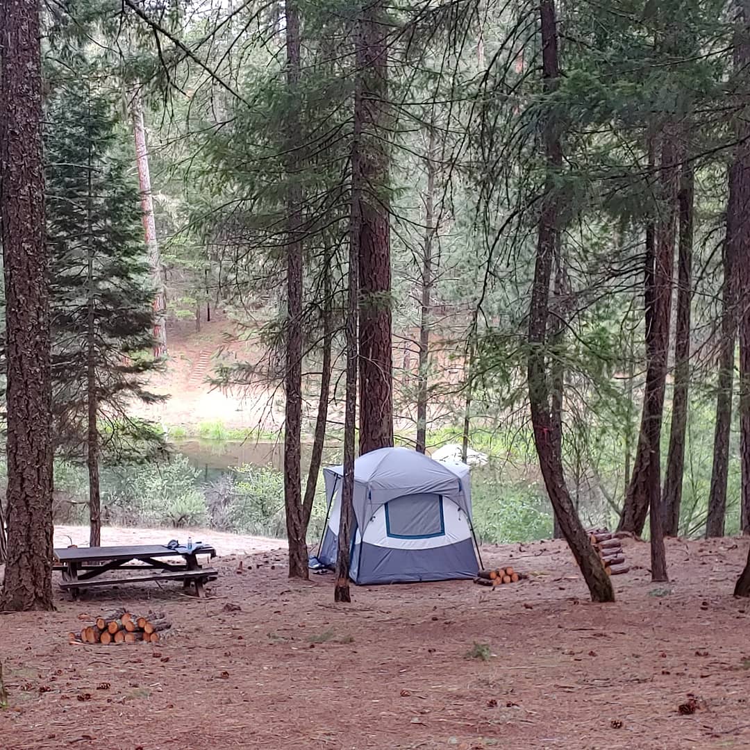 Stoney Group Shasta-Trinity