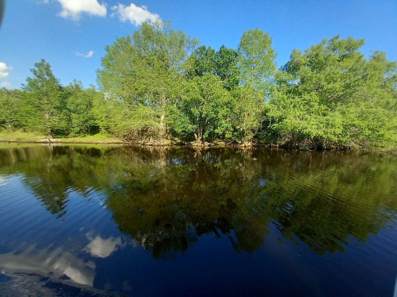 Neiberts' Fishing Resort (Fred's)