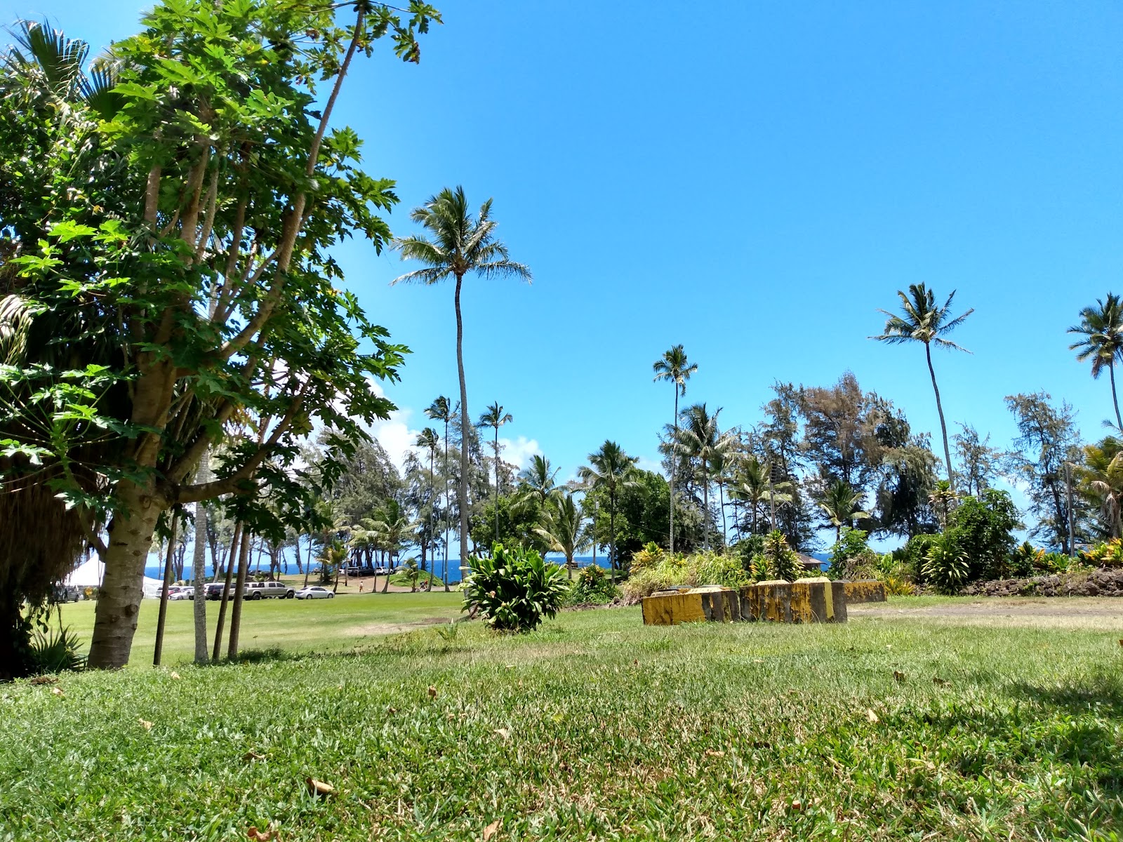 Laupahoehoe Beach Park