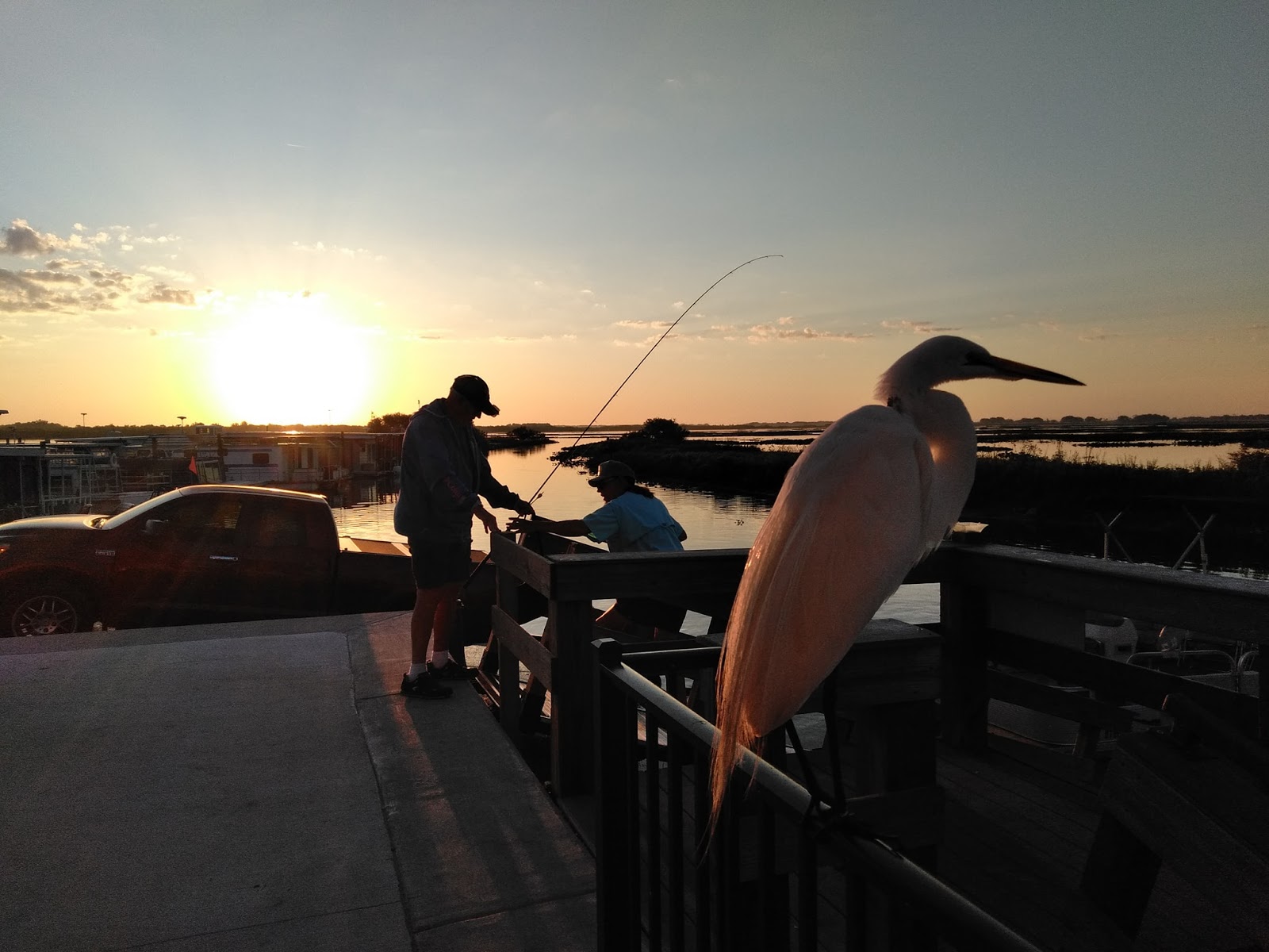 Grape Hammock Fish Camp