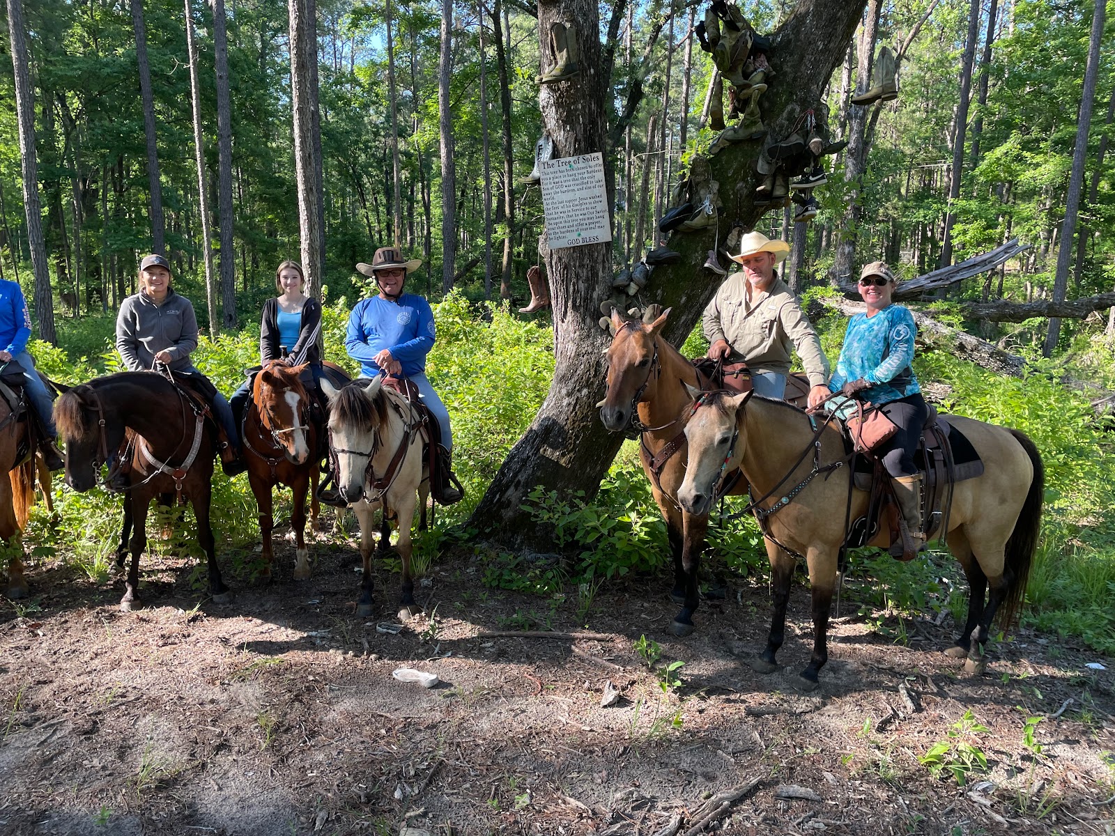 Rustic Sky Horse Camp