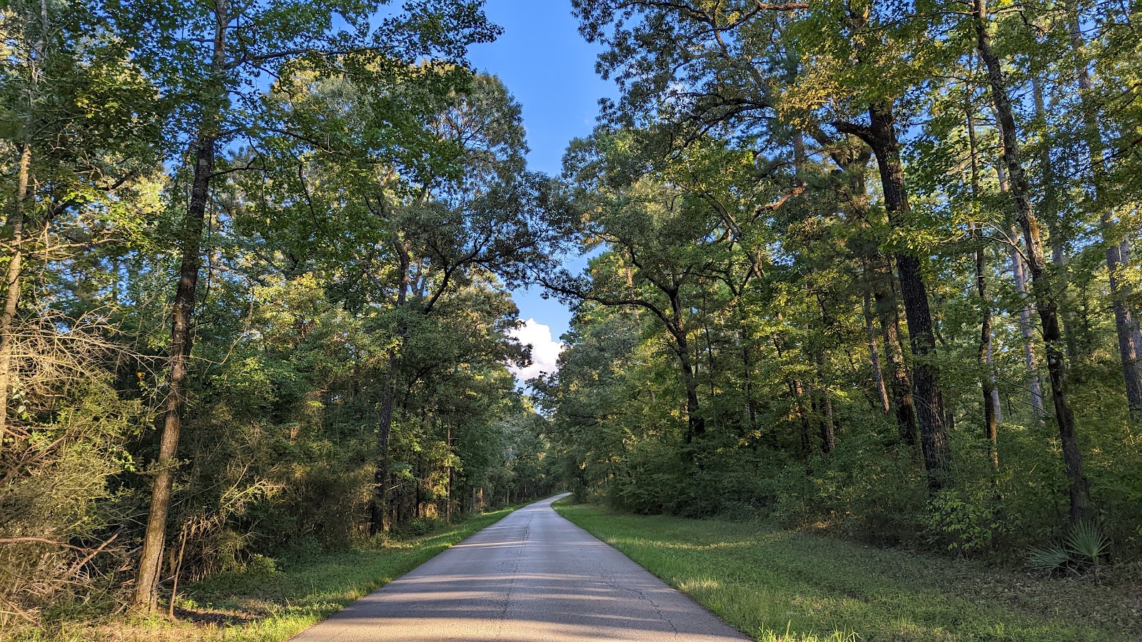Kellys Pond Campground