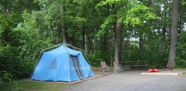 Riverway - William O Brien State Park