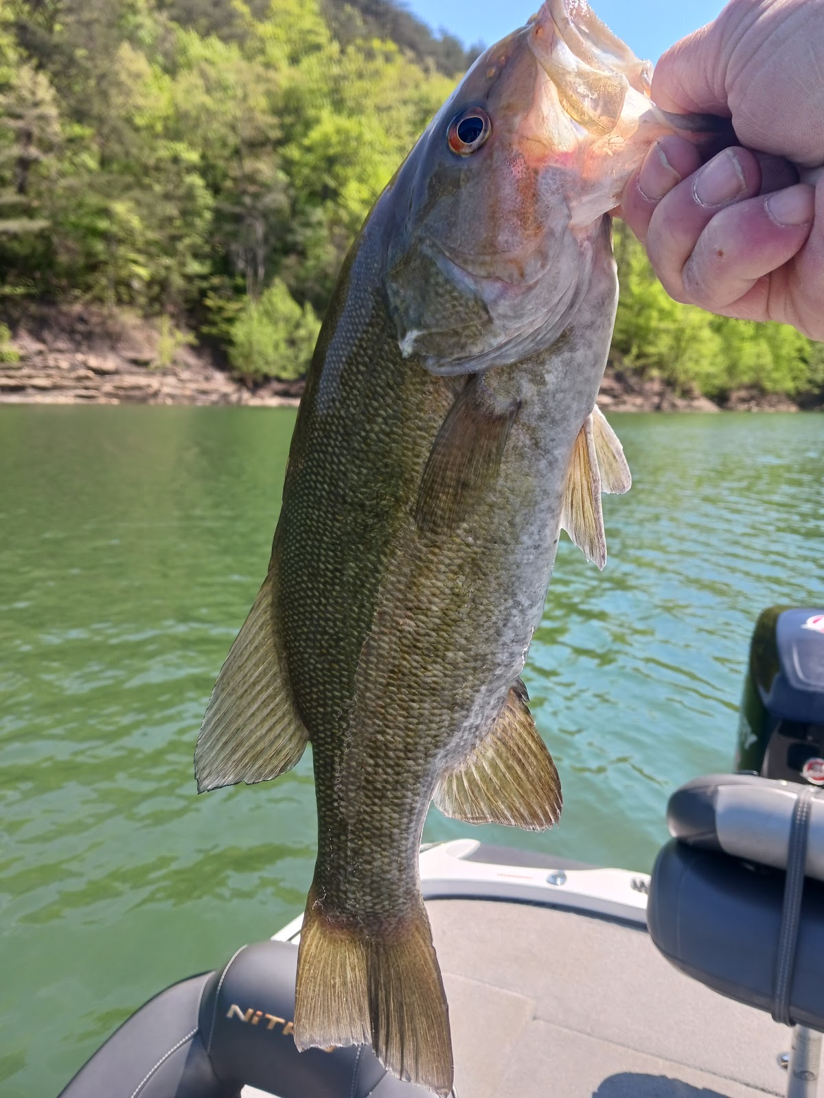 Grider Hill Dock Campground