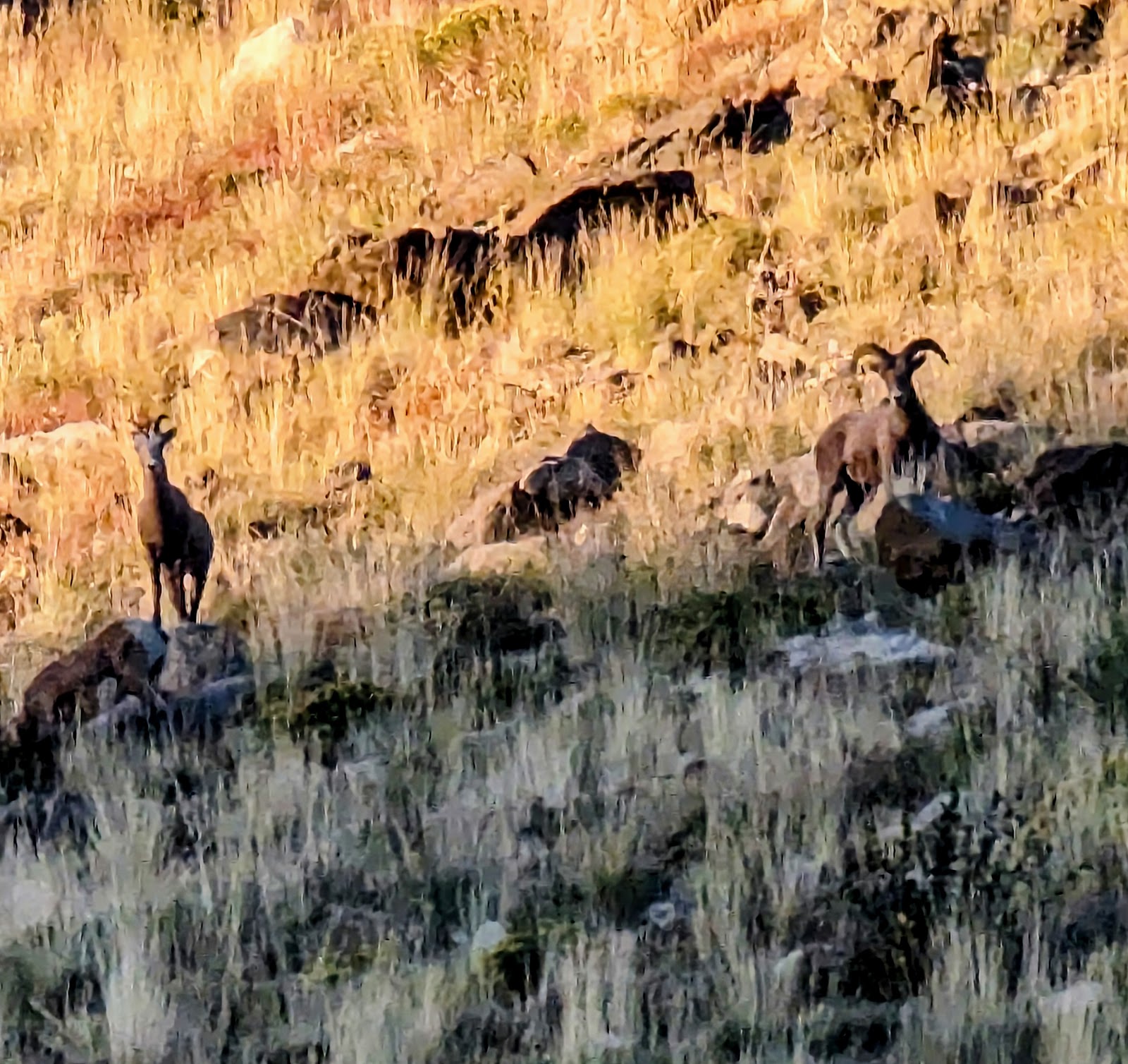 Pike Pole Campground
