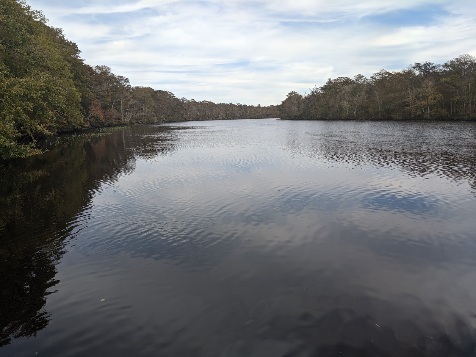 Shad Landing - Pocomoke River State Park
