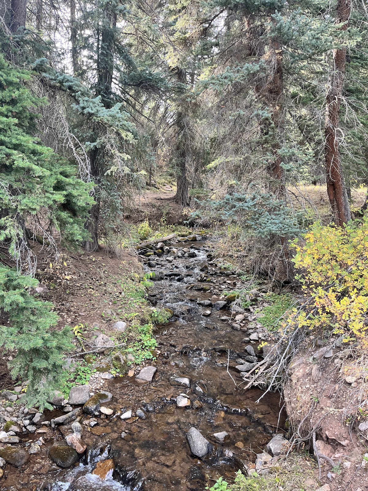 Sig Creek Campground