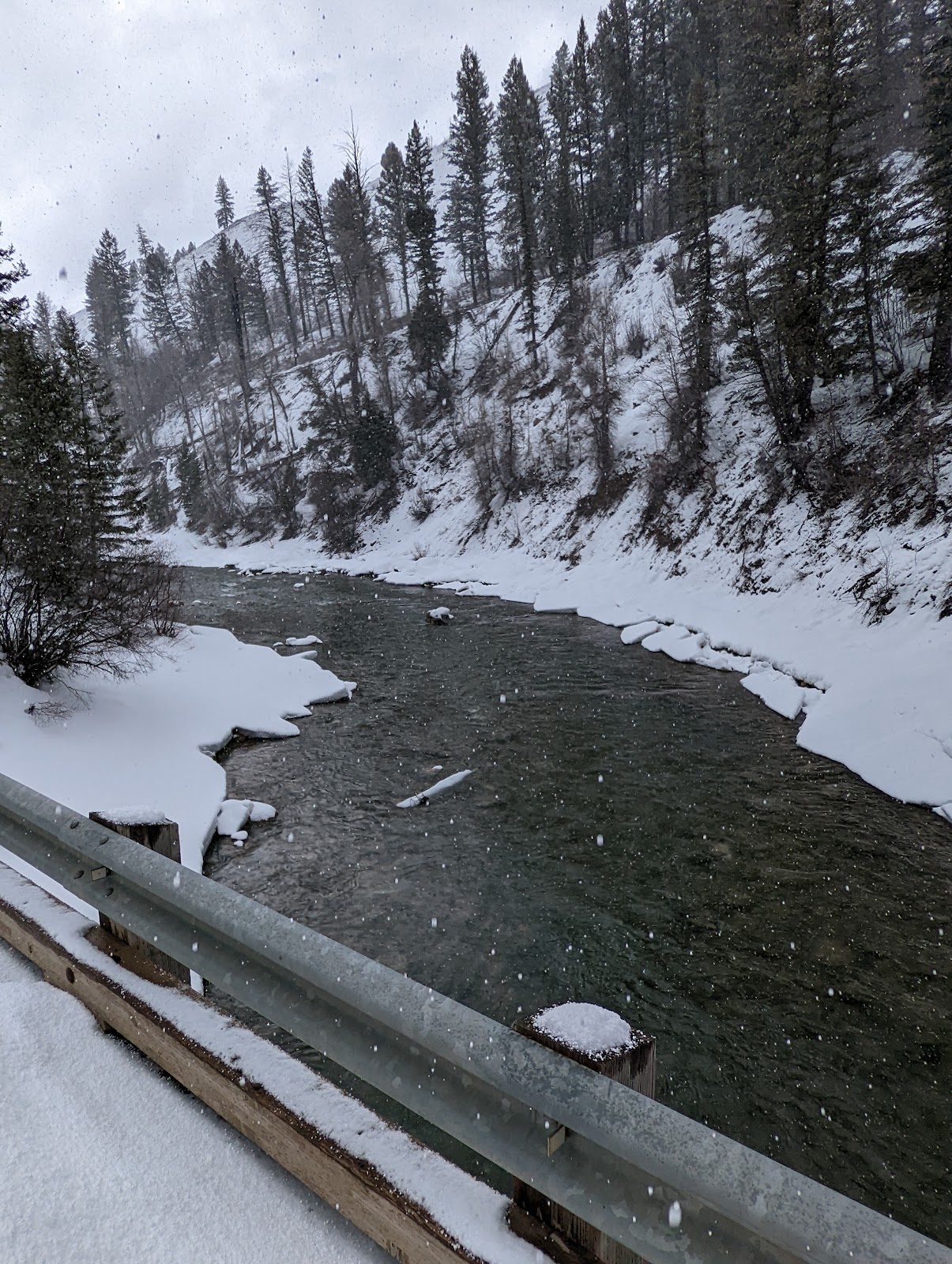 Forest Park Campground