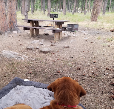 Esterbrook Campground