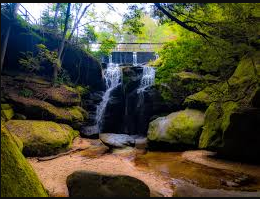 Dismals Canyon Cabins and Primitive Campsites