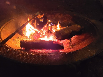 Cowlitz Timber Trails