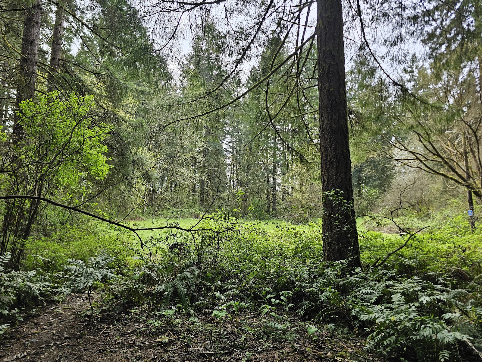 Big Fir Campground RV Park