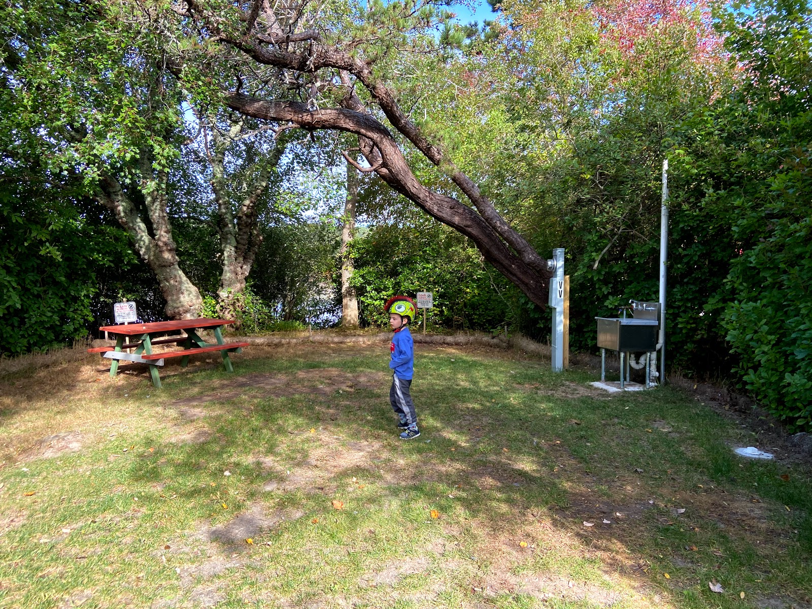 Coastal Acres Camping Court