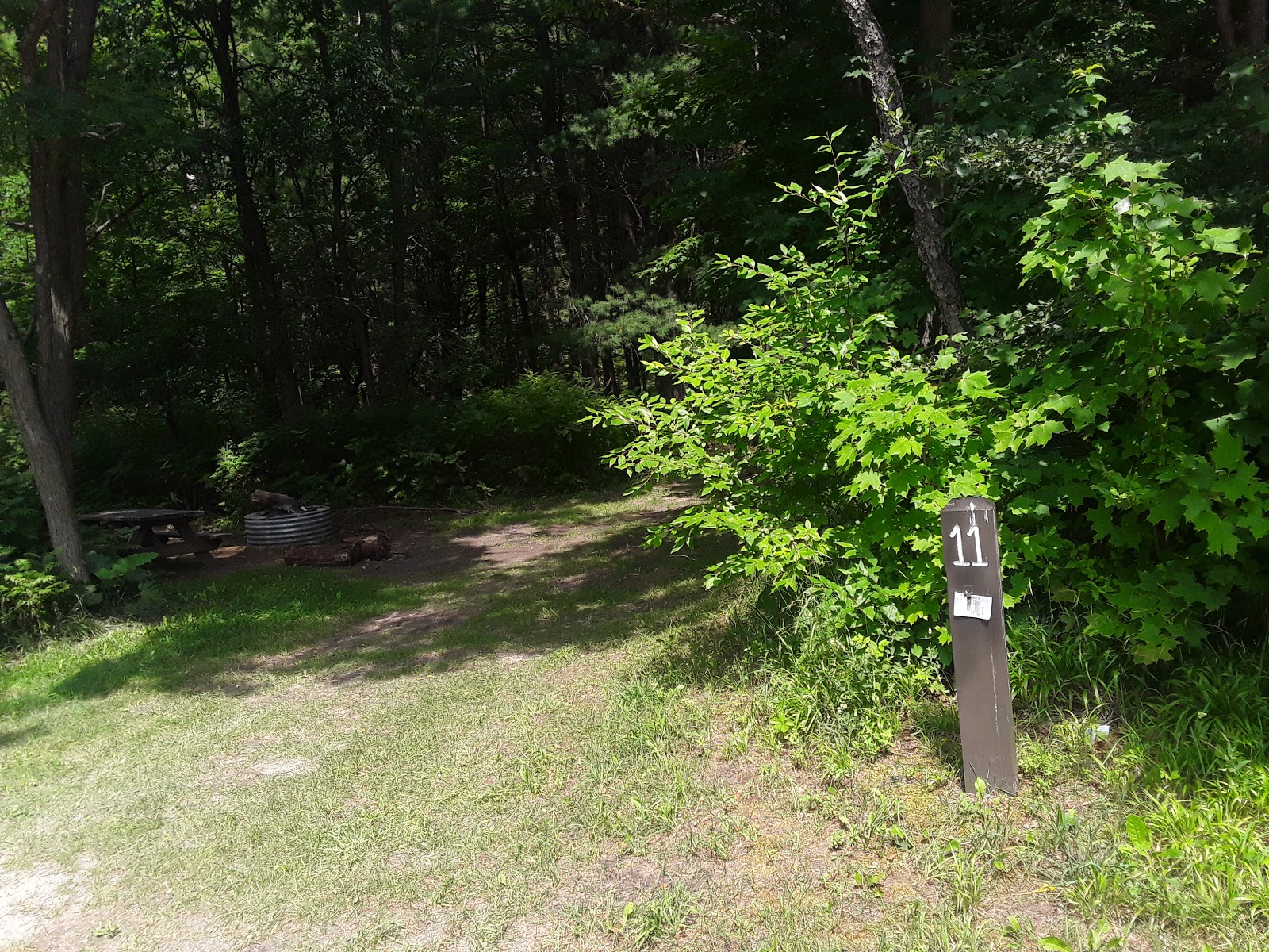 Garey Lake Trail Camp