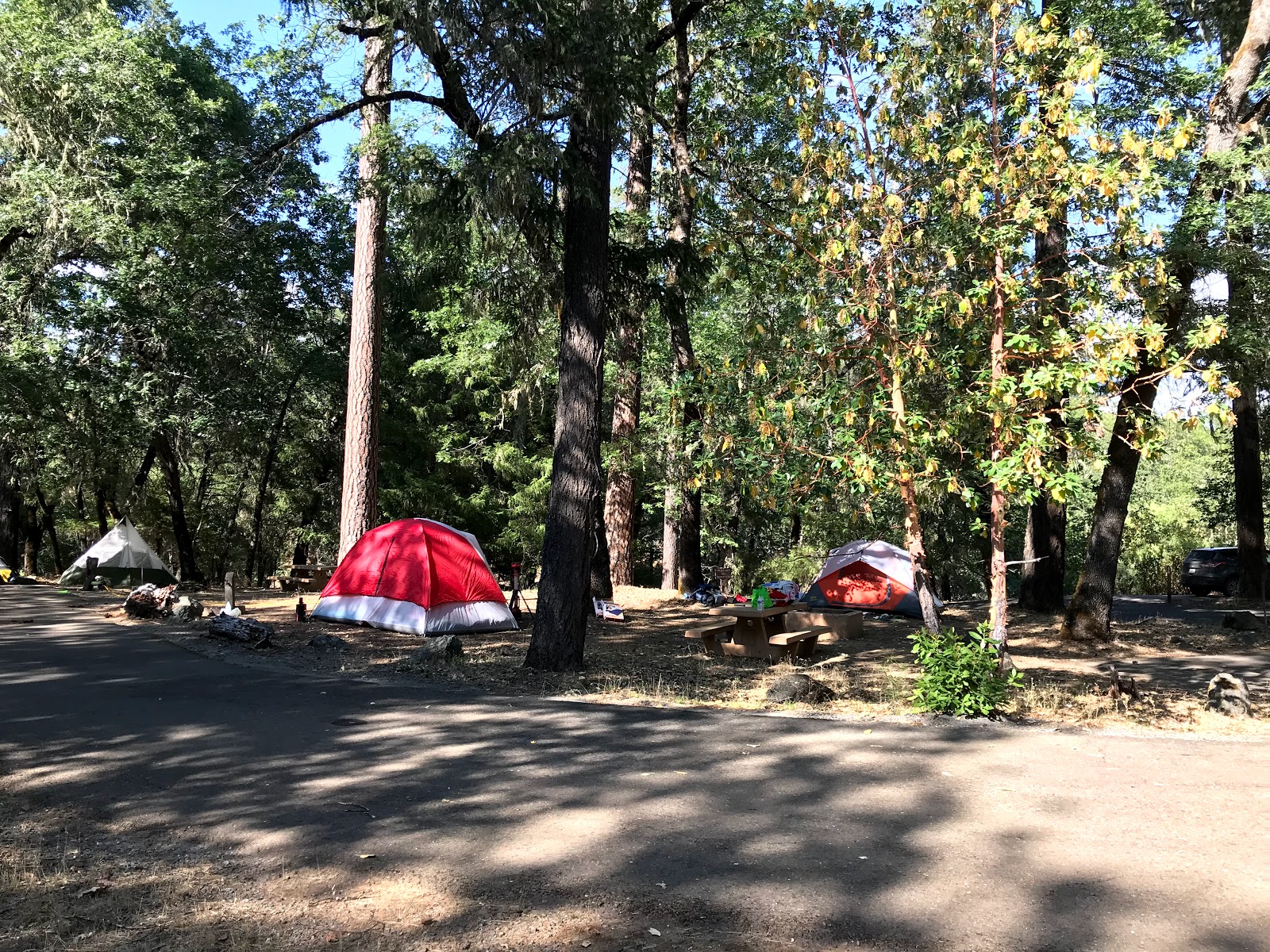 Pogie Point Campground