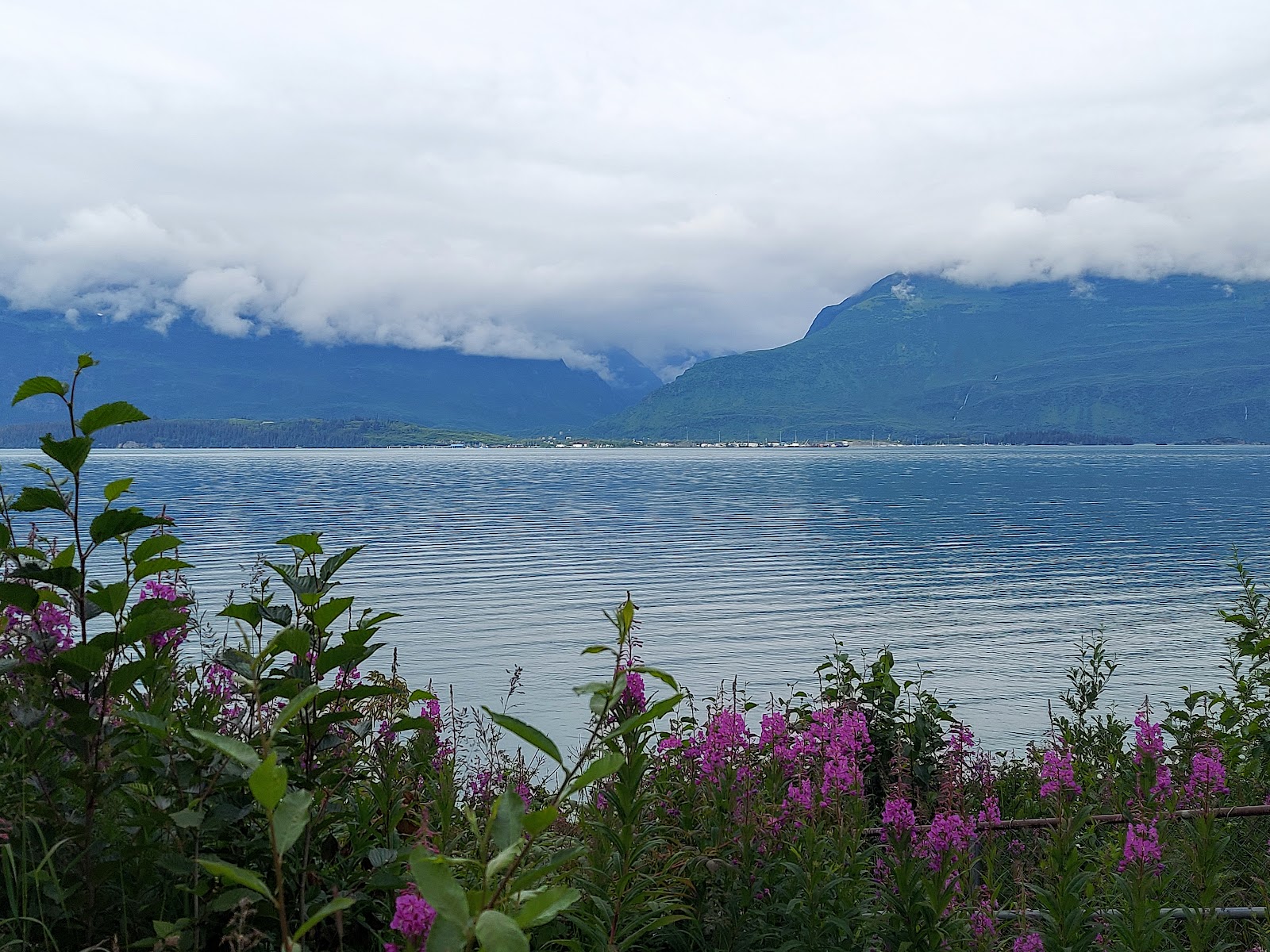 Allision Point Campground