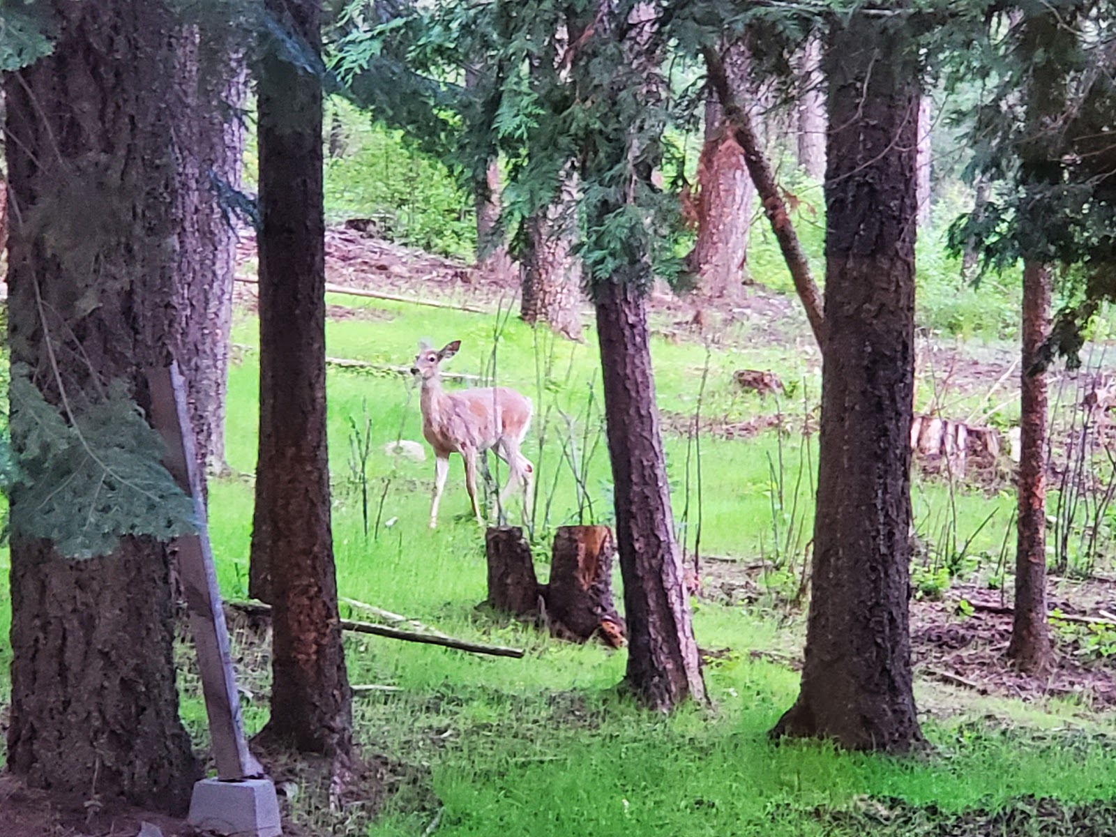 Pend Oreille County Park