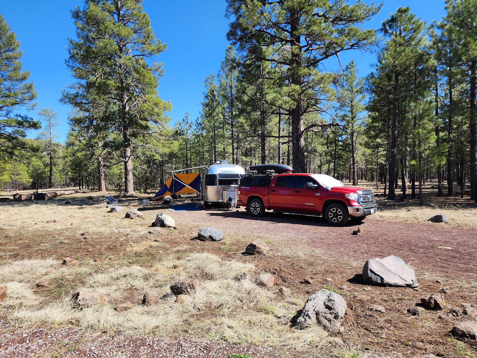 Canyon Vista Campground