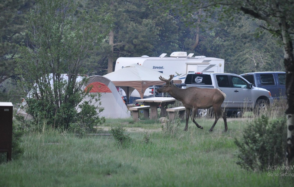 Aspenglen - Rocky Mountain National Park