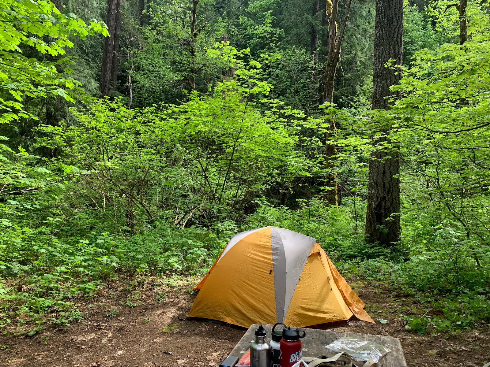 Moss Creek Campground