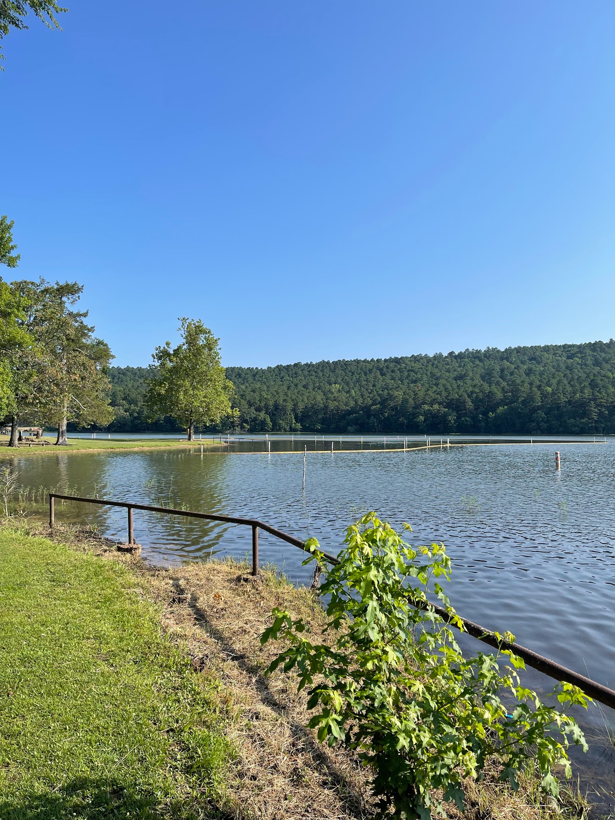 Cove Lake NF Campground