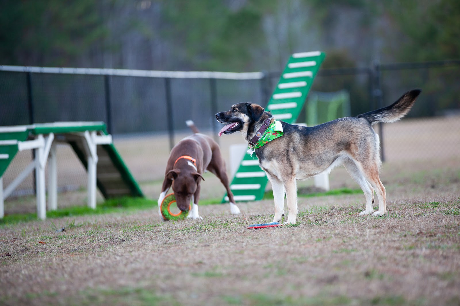 WillowTree RV Resort