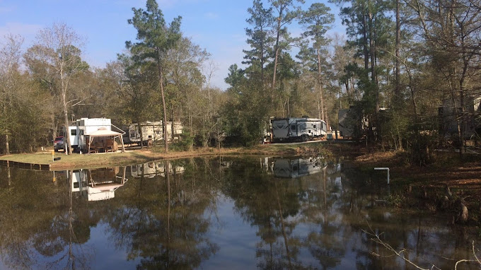 Magnolia Forest RV Park