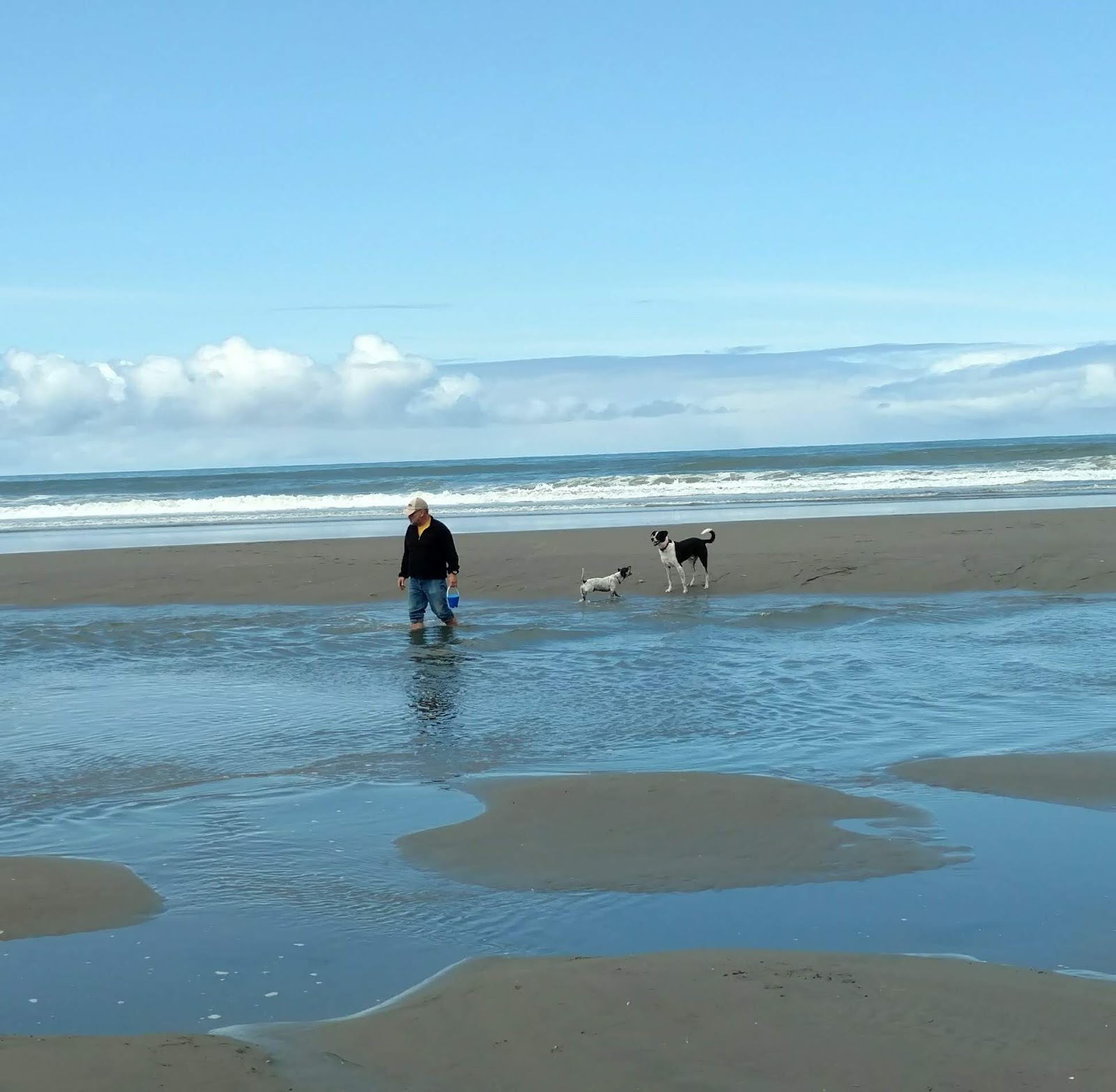 Grayland Beach State Park