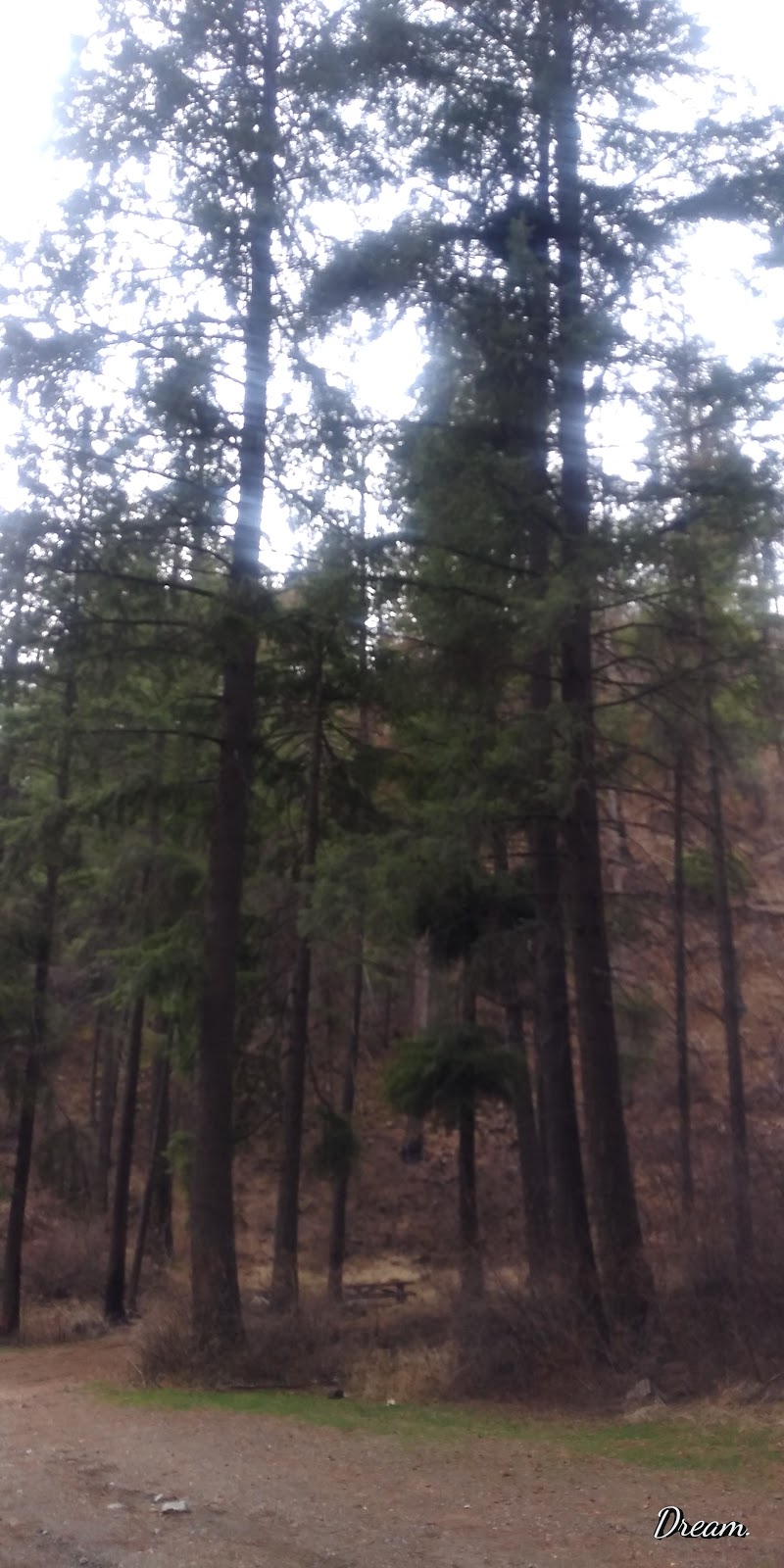 Sugarloaf Campground