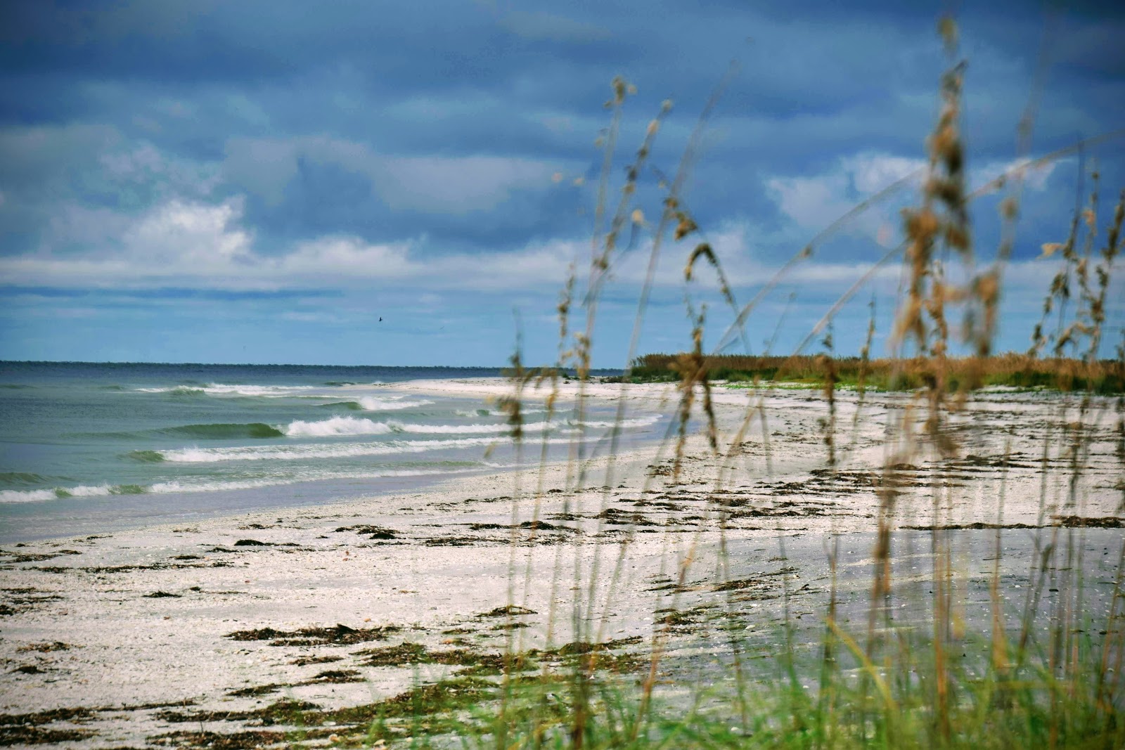 Cayo Costa State Park
