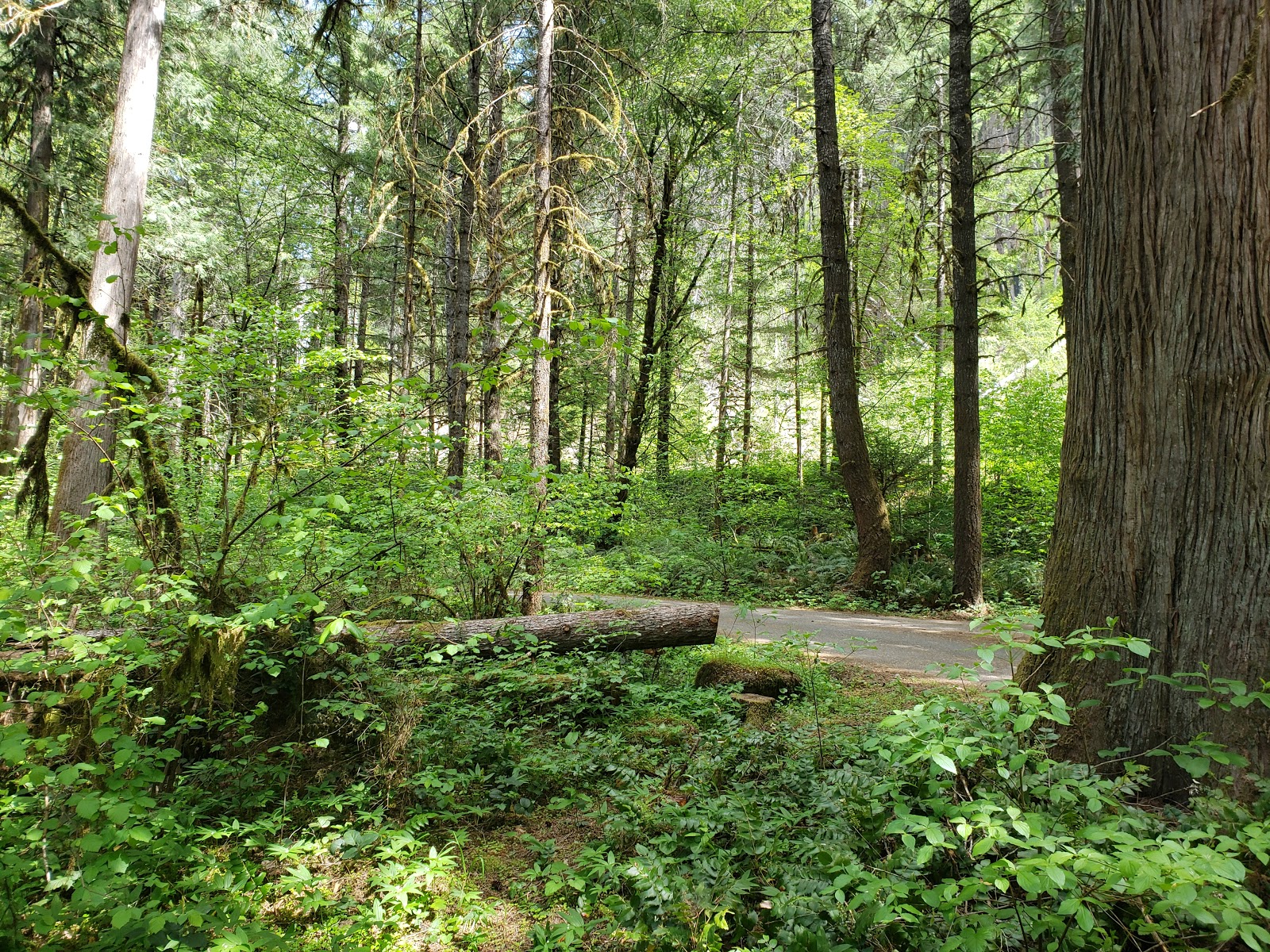 Boulder Flat Campground